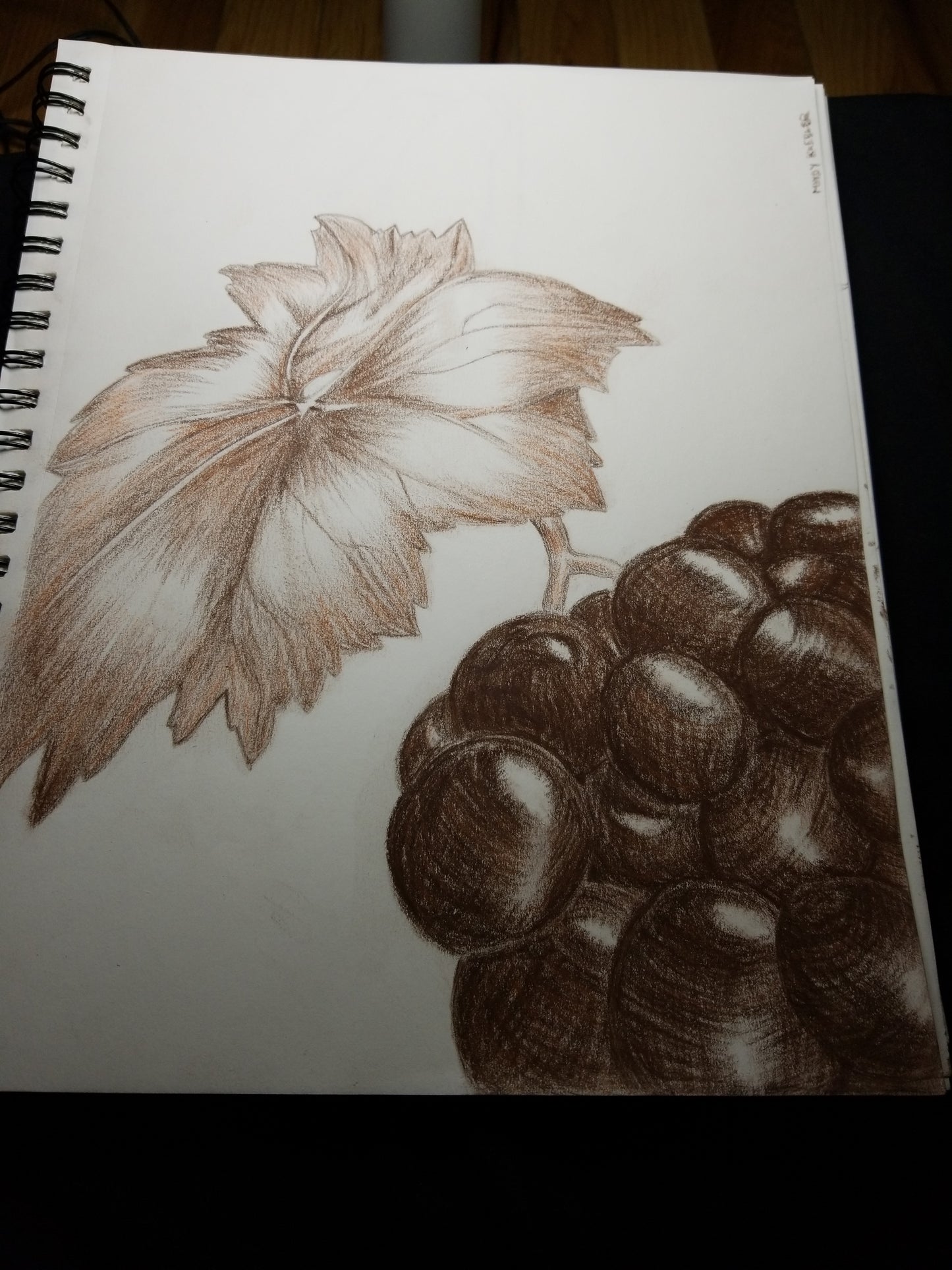 Grape Cluster Drawing